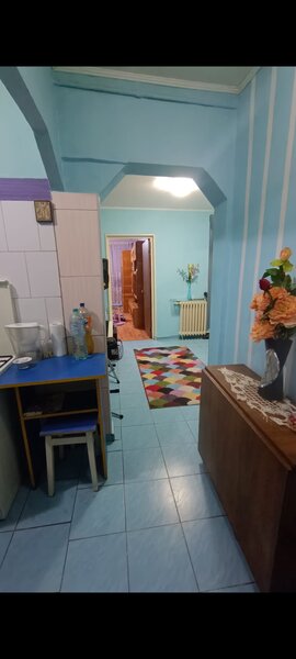 Pantelimon, Delfinului