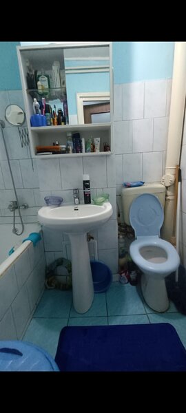 Pantelimon, Delfinului