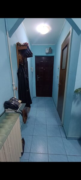 Pantelimon, Delfinului