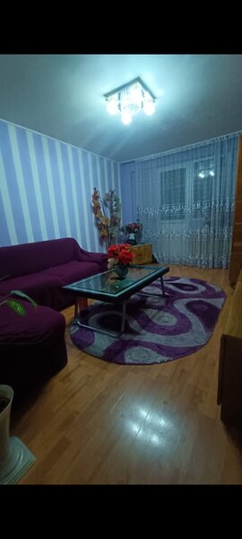 Pantelimon, Delfinului