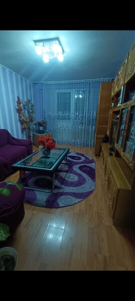 Pantelimon, Delfinului