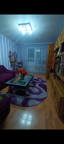 Pantelimon, Delfinului