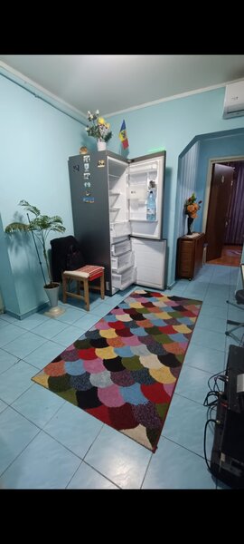 Pantelimon, Delfinului