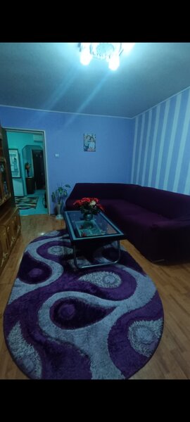 Pantelimon, Delfinului