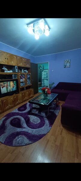 Pantelimon, Delfinului