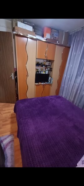 Pantelimon, Delfinului