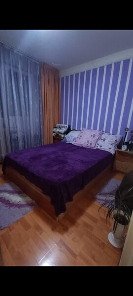 Pantelimon, Delfinului