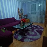 Pantelimon, Delfinului